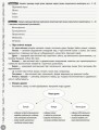 Фото Українська література. Інтерактивний довідник-практикум із тестами. Підготовка до ЗНО 9