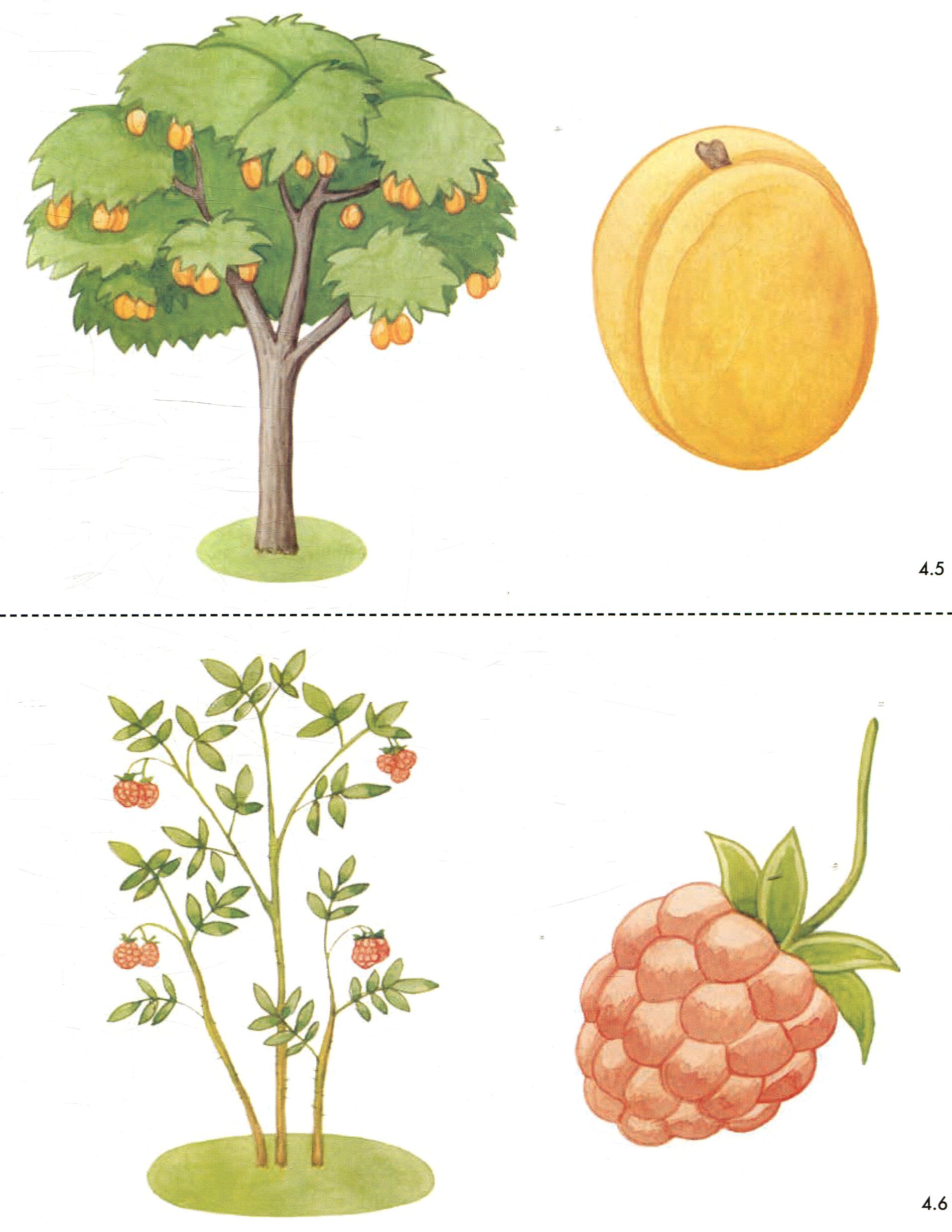 Hidden Product Image 12