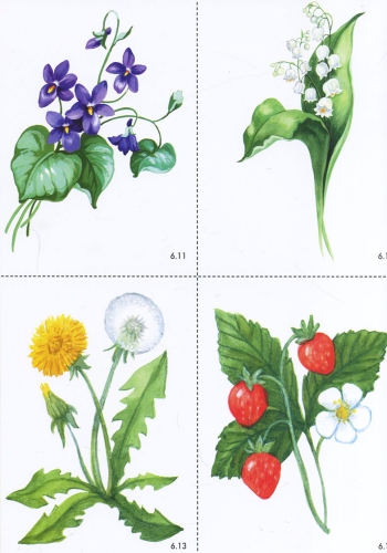 Hidden Product Image 10