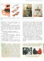 Фото Технології. Підручник. Рівень стандарту. 10-11 класи 5