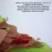 Фото Одного разу на річці 8