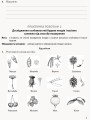 Фото Біологія і екологія. Профільний рівень. Зошит для практичних робіт. 11 клас 8