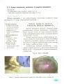 Фото Хімія. Підручник. 8 клас 9