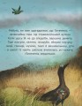 Фото Титепетль гнівається 7
