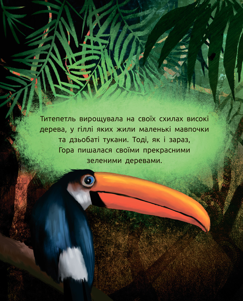 Hidden Product Image 11