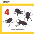 Фото Лічимо комах 4
