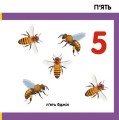 Фото Лічимо комах 5