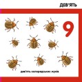 Фото Лічимо комах 7