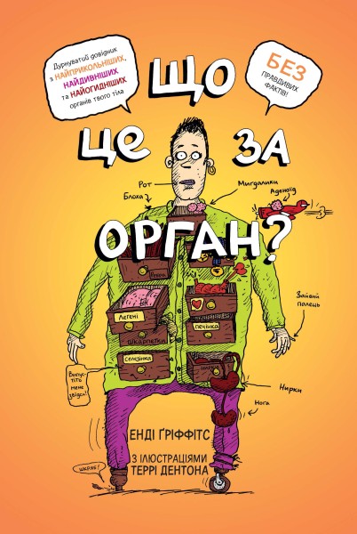 Фото Що це за орган? Дурнуватий довідник з анатомії твого тіла