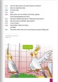 Фото Paul, Lisa & Co. A1/1. Leseheft: Ein Hundekrimi 10