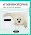 Фото Робопарк і не тільки… Перше читання Non Fiction. Рівень 4 3