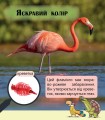 Фото Фантастичні рослини і не тільки… Перше читання Non Fiction. Рівень 3 2