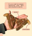 Фото Фантастичні рослини і не тільки… Перше читання Non Fiction. Рівень 3 4