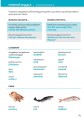 Фото Ukrainian - English Visual Dictionary 5