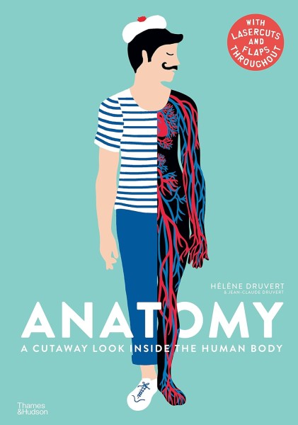Фото Anatomy. A Cutaway Look Inside the Human Body