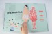 Фото Anatomy. A Cutaway Look Inside the Human Body 2
