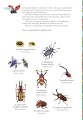 Фото The Incredible 3D Bug Hunt 2