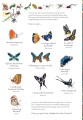 Фото The Incredible 3D Bug Hunt 4