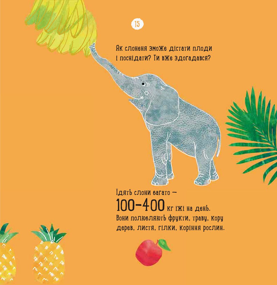 Hidden Product Image 7