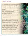Фото English World 10. Student's Book 3