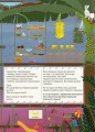 Фото Великодні забавки. У пошуках подарунків від Банні 3