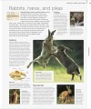 Фото Animal. The Definitive Visual Guide 3