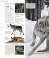 Фото Animal. The Definitive Visual Guide 4