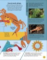 Фото Wild Scientists 3