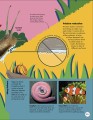 Фото Wild Scientists 5