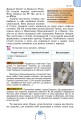 Фото Історія України. Всесвітня історія. 6 клас. Підручник 3