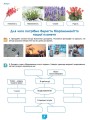 Фото Біологія. 7 клас. Робочий зошит з біології. Практичні роботи 5
