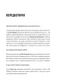 Фото Піратство, пейнтбол та зебри. Робін Гуд 3