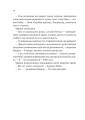 Фото Піратство, пейнтбол та зебри. Робін Гуд 10