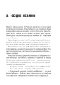 Фото Піратство, пейнтбол та зебри. Робін Гуд 15