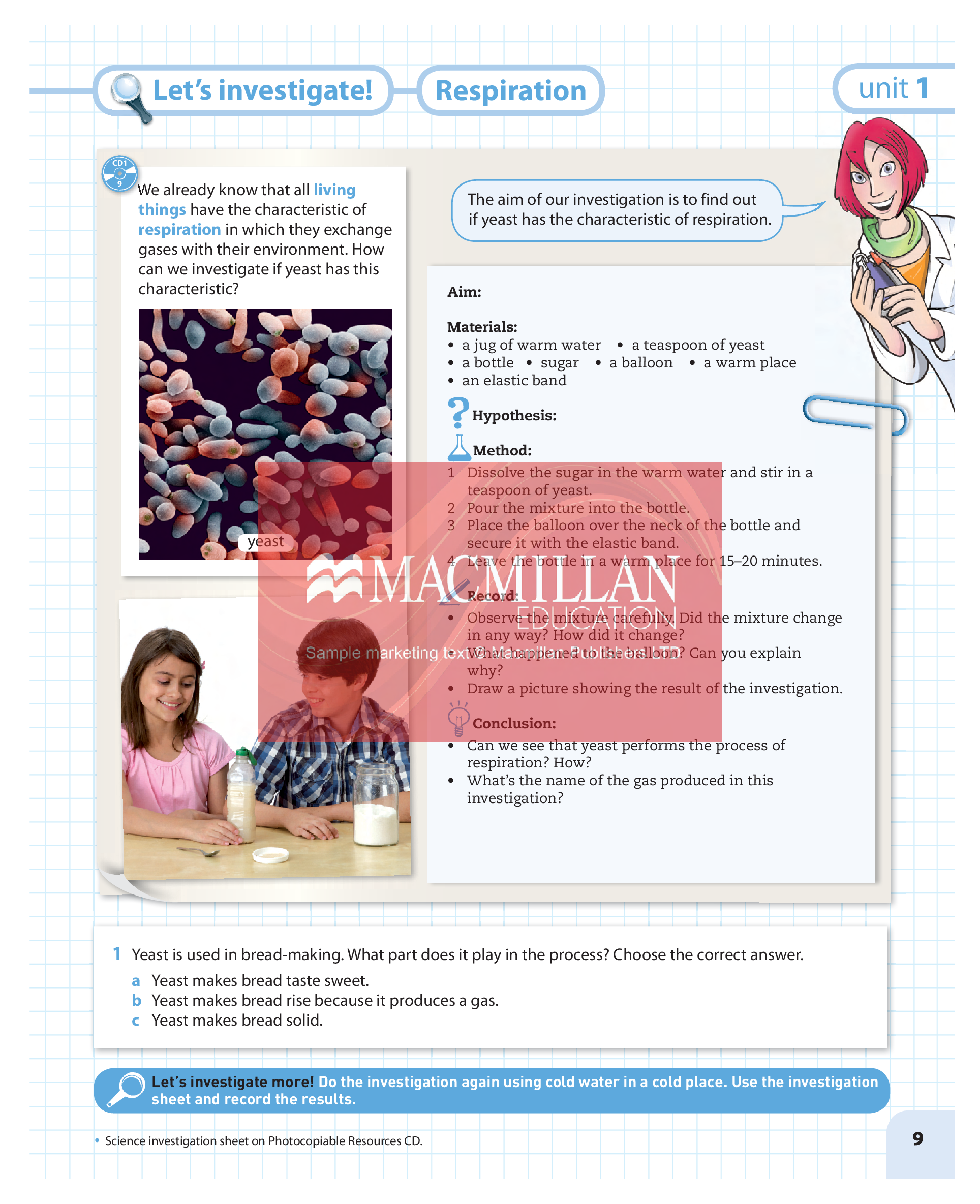 Hidden Product Image 6