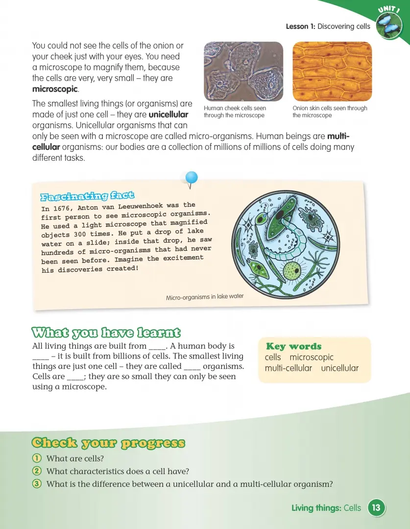 Hidden Product Image 6