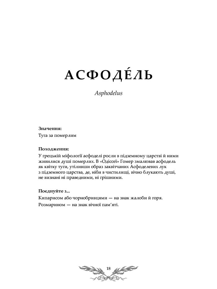 Hidden Product Image 10
