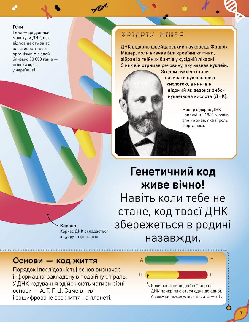 Hidden Product Image 7
