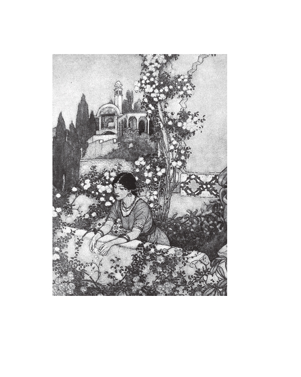 Hidden Product Image 12