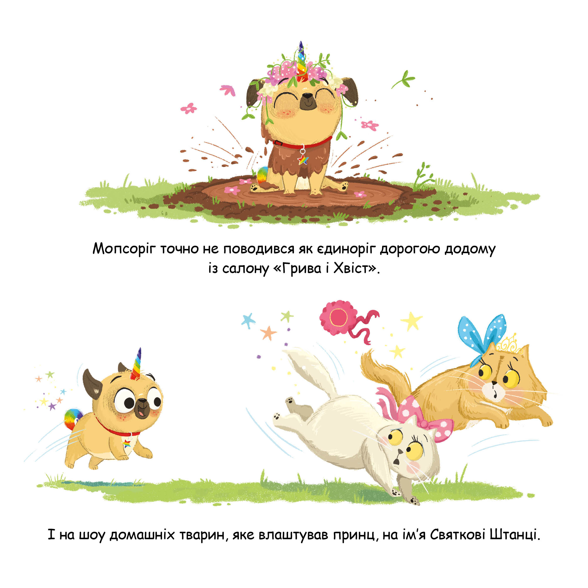Hidden Product Image 8