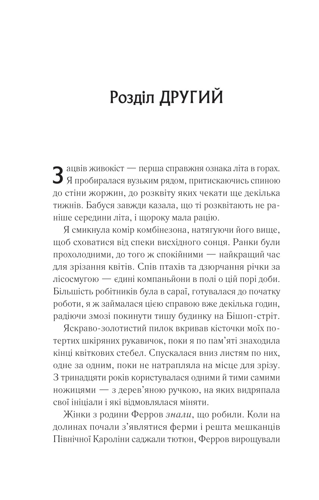 Hidden Product Image 16