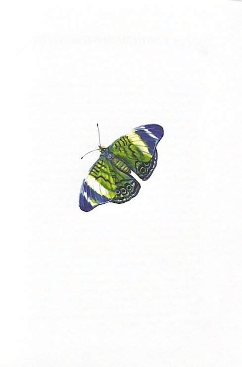 Hidden Product Image 8