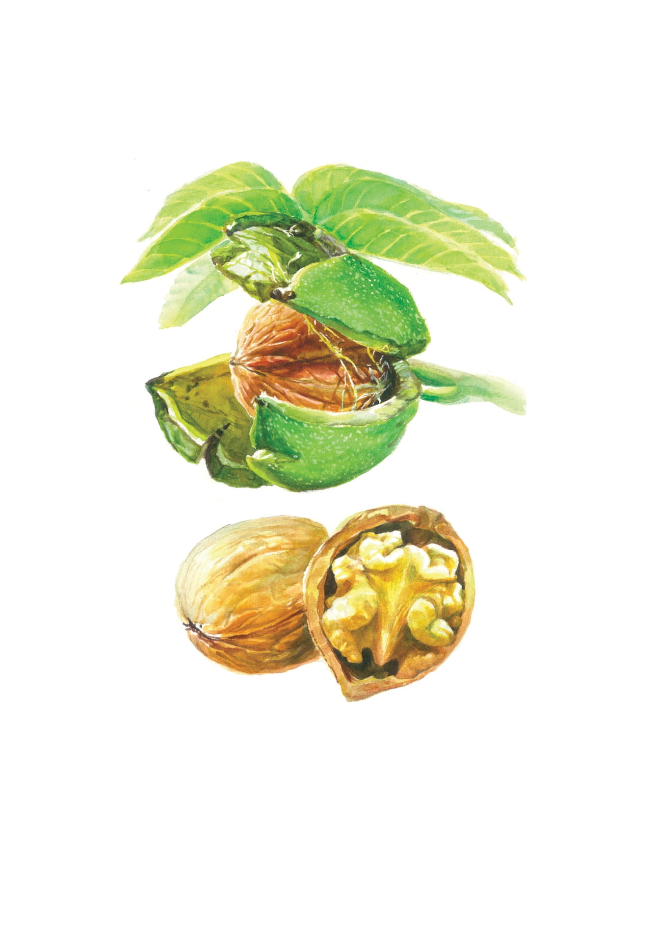 Hidden Product Image 10