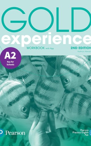 Gold Experience 2nd Edition A2 Workbook