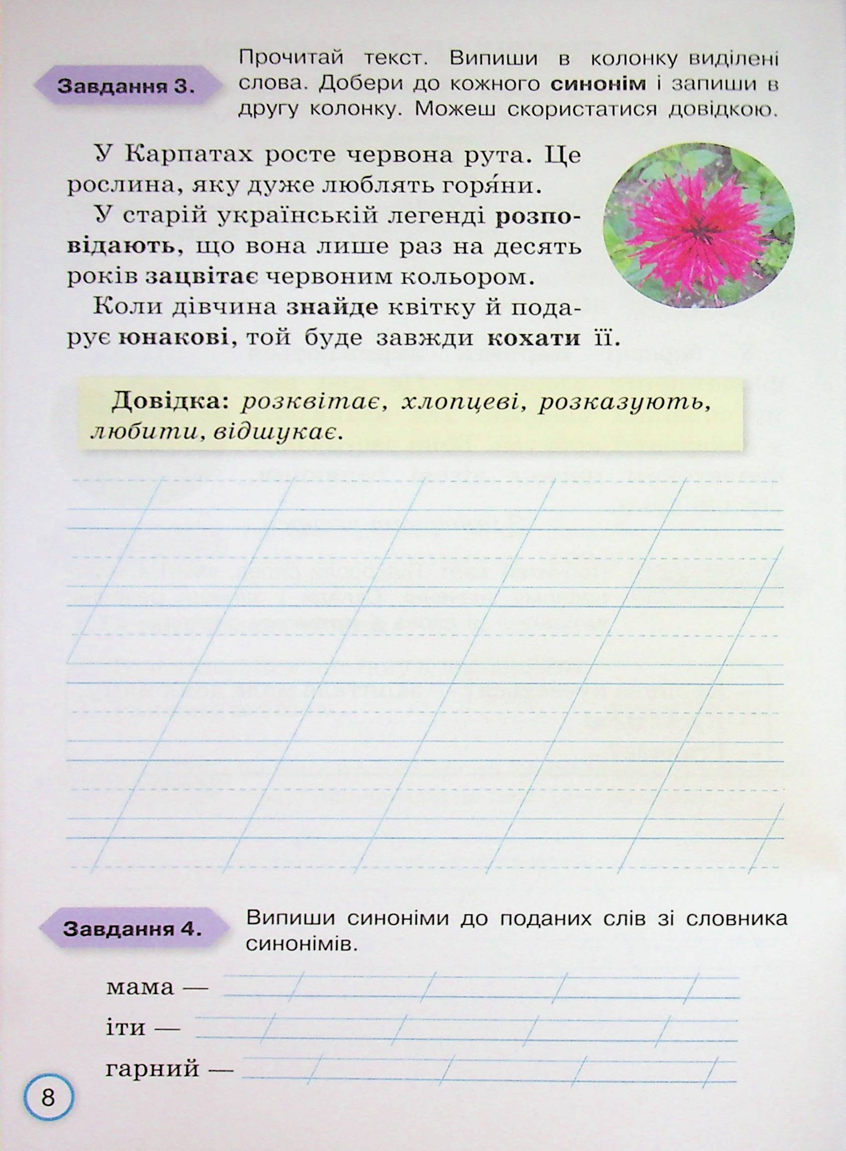 Hidden Product Image 10
