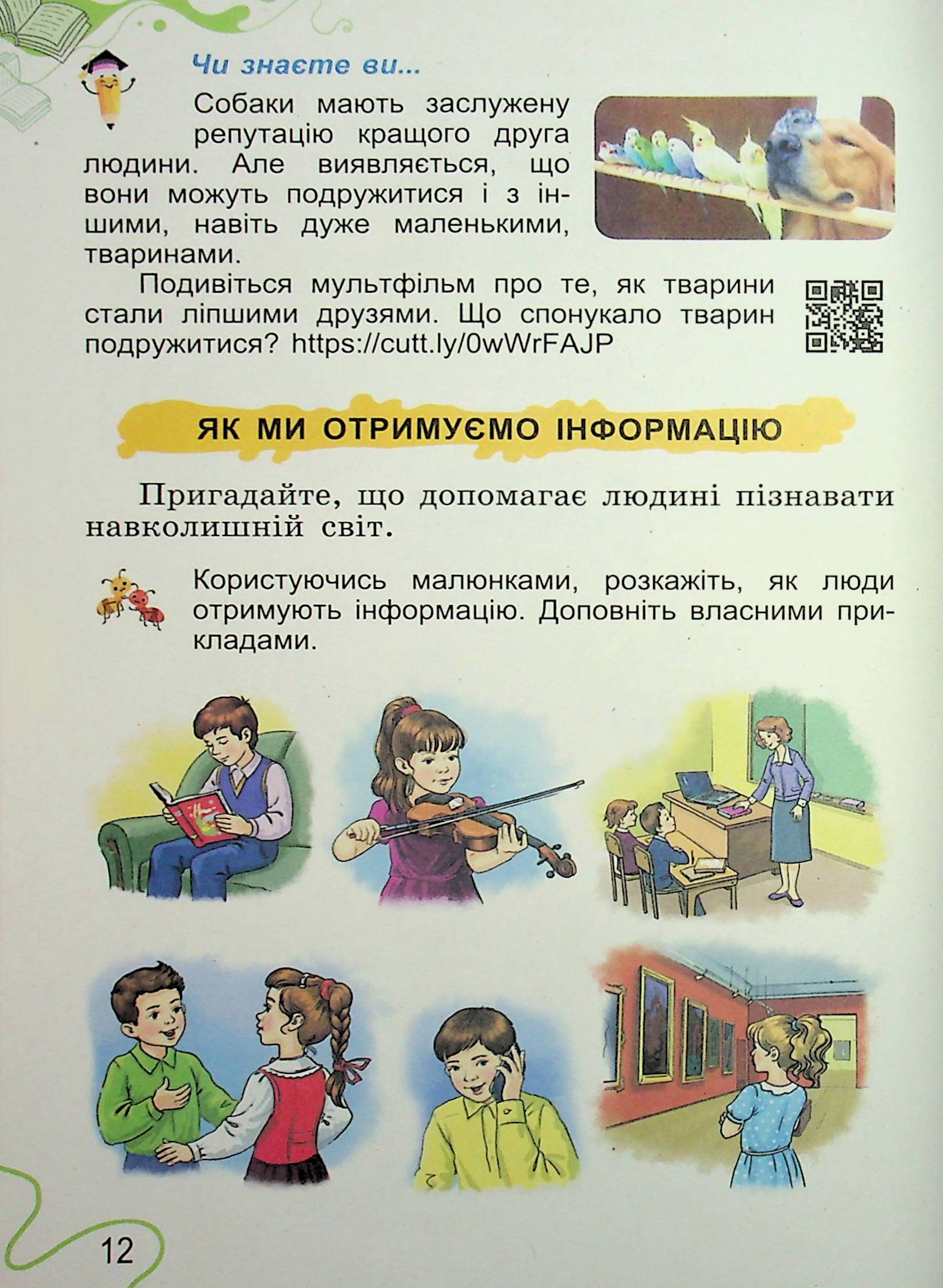 Hidden Product Image 11