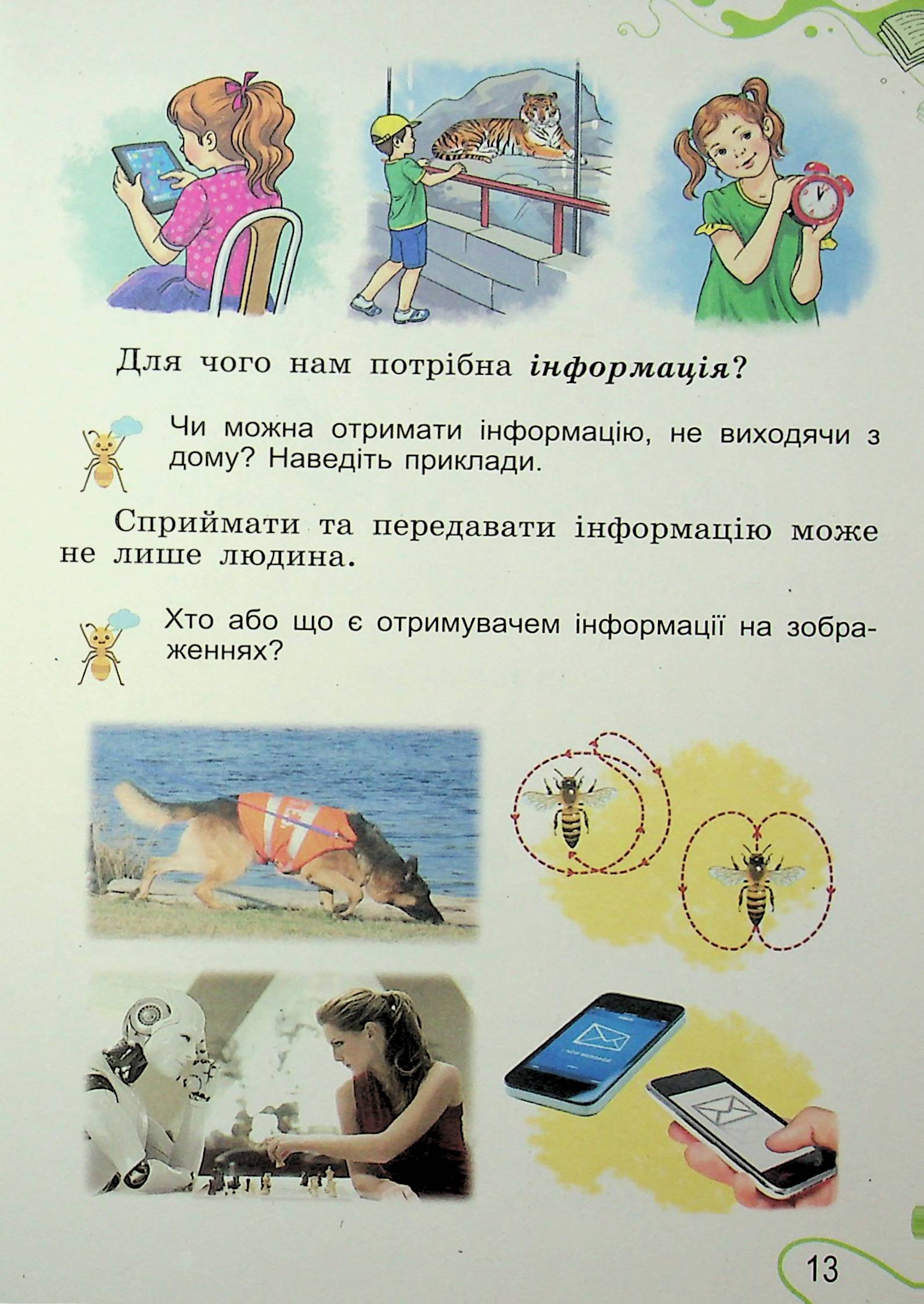 Hidden Product Image 12