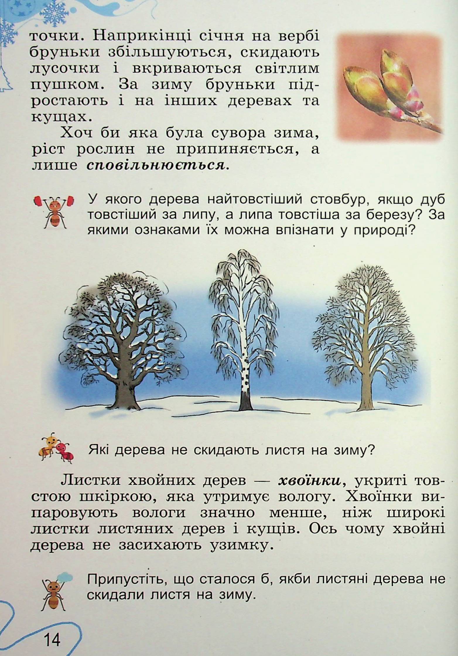 Hidden Product Image 14