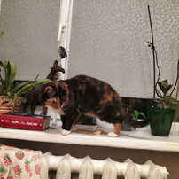Катерина