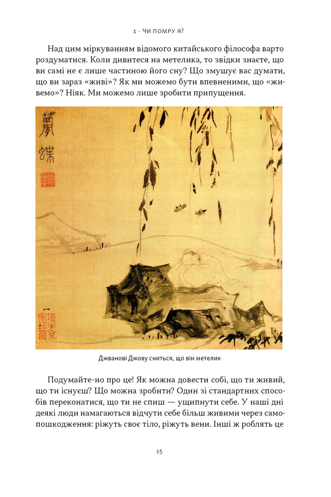 Hidden Product Image 11
